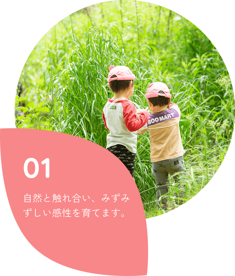 幼保連携型認定こども園 みなみ絵本のこども園|埼玉県 北本市の認定 幼保連携型認定こども園 みなみ絵本のこども園|埼玉県 北本市の認定